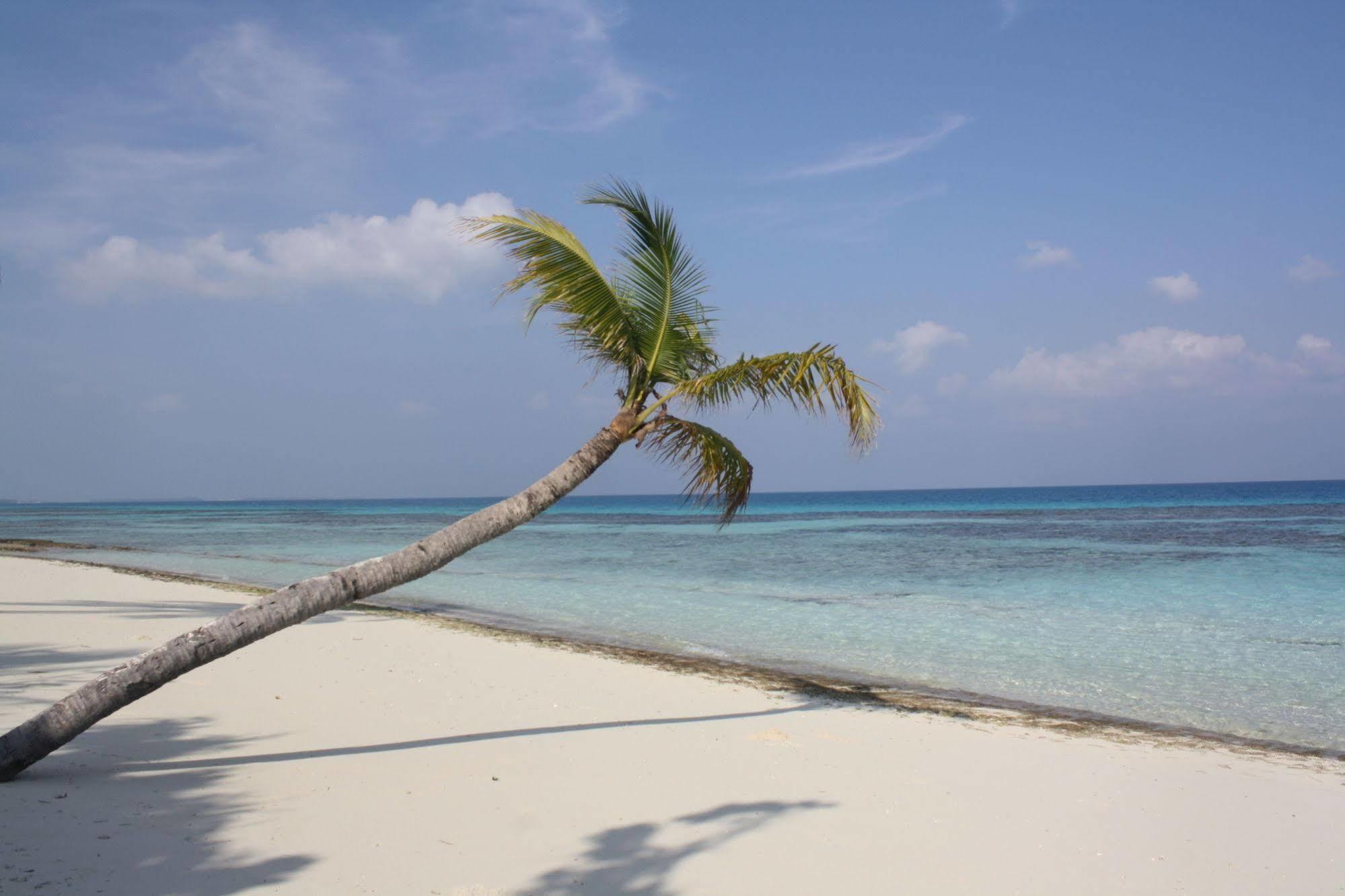 Boutique Beach All Inclusive Diving Hotel Dhigurah  Exterior foto