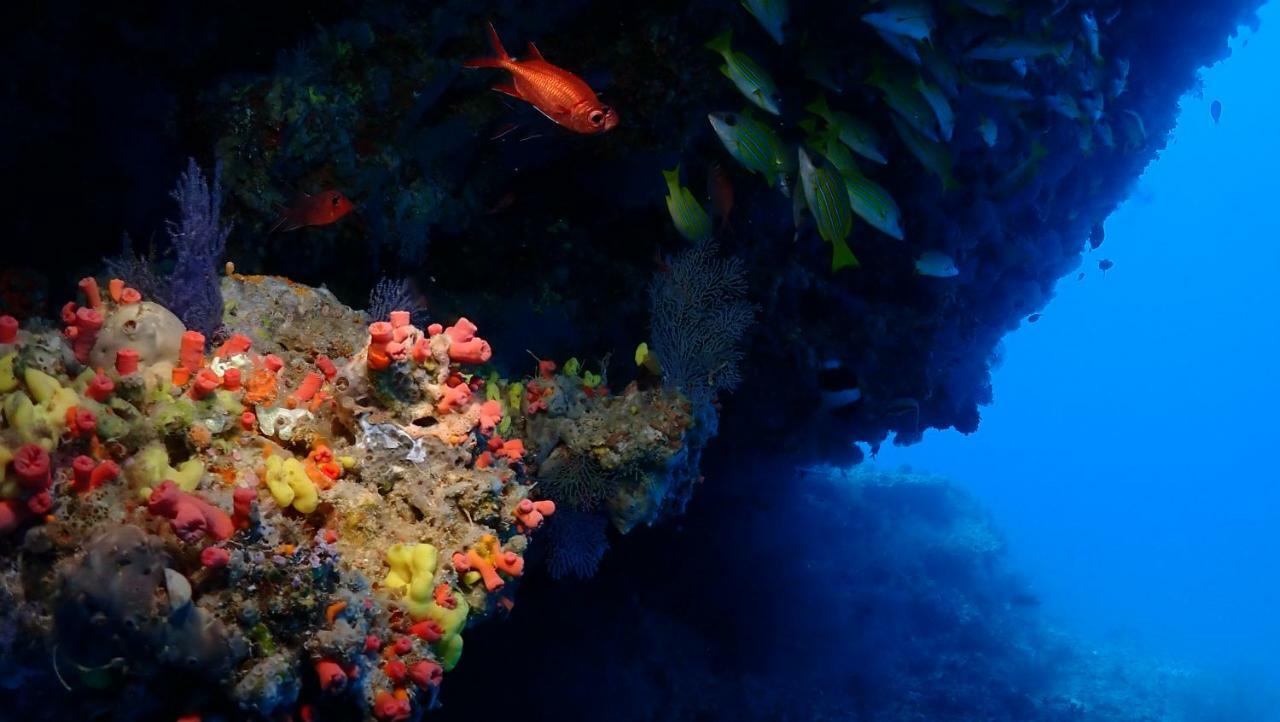 Boutique Beach All Inclusive Diving Hotel Dhigurah  Exterior foto